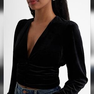 Express Deep V-Neck Velvet Blouse